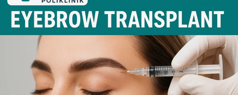 Istanbul Eyebrow Transplant